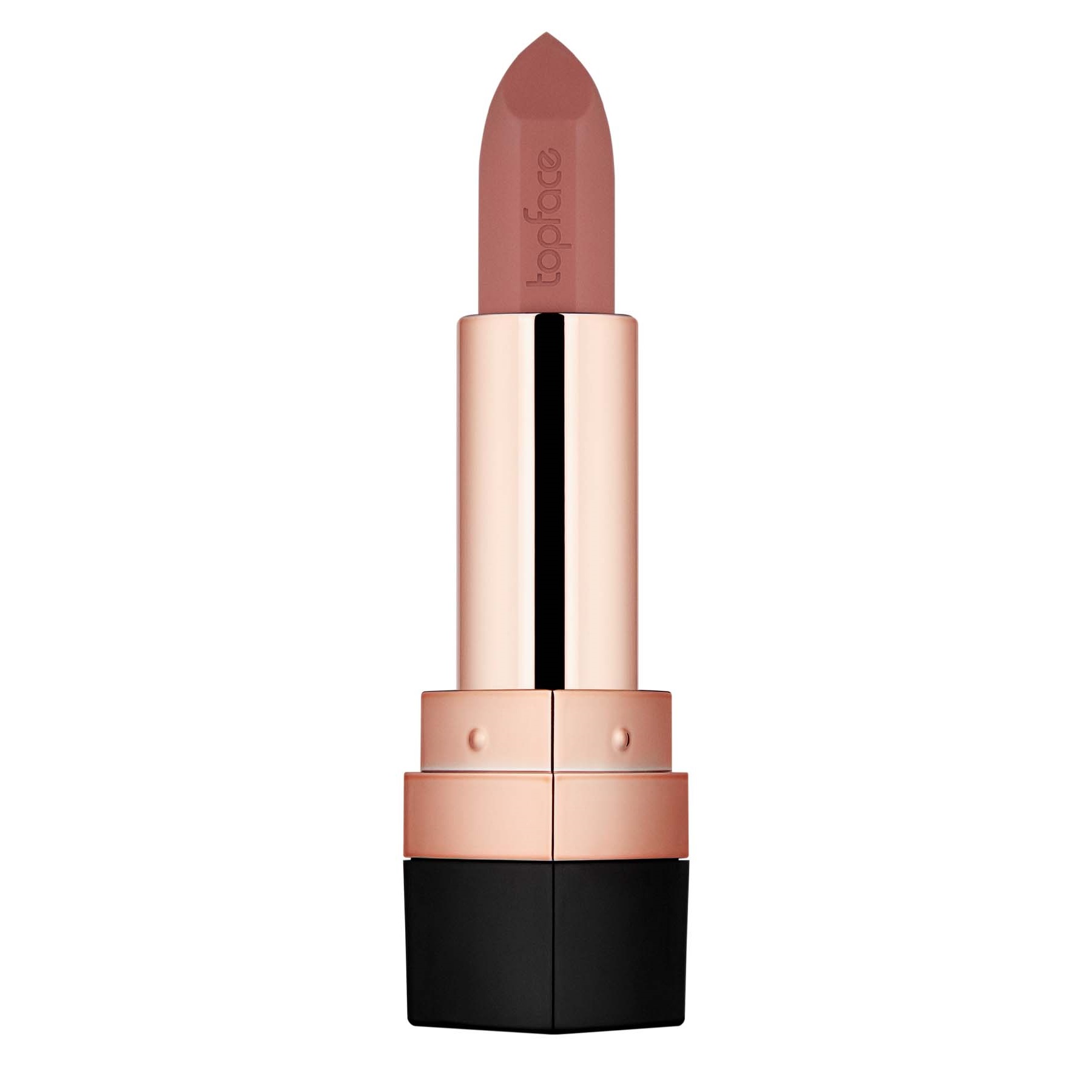 Instyle Matte Lipstick - Topface 003-Warm Almond (#b06760)