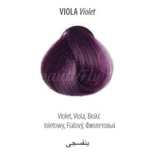 Maxima Professional Hair Color Plex - Tons Purs et Mixtes Violet
