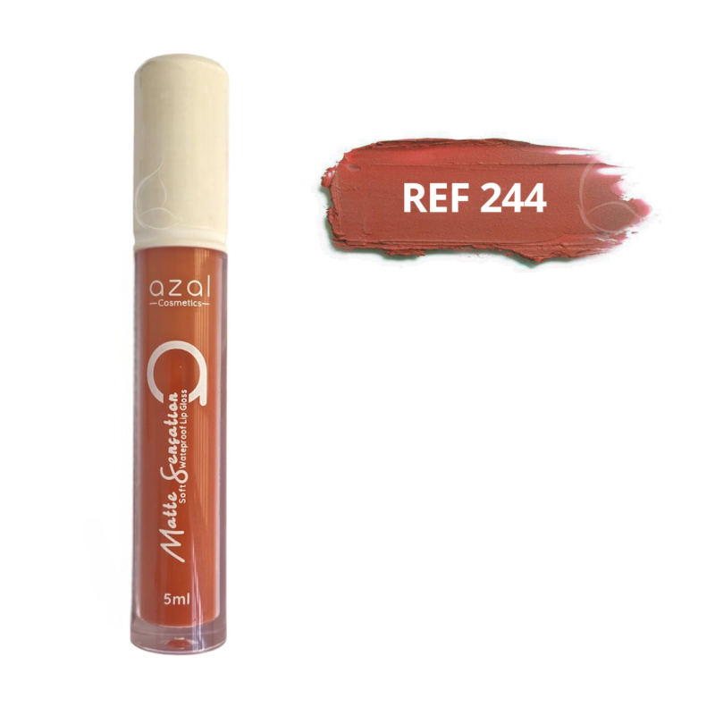 Gloss MATTE SENSATION – Couleur Intense, Fini Mat & Longue Tenue REF 244