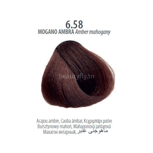 Maxima Professional Hair Color Plex - Acajou 6.58