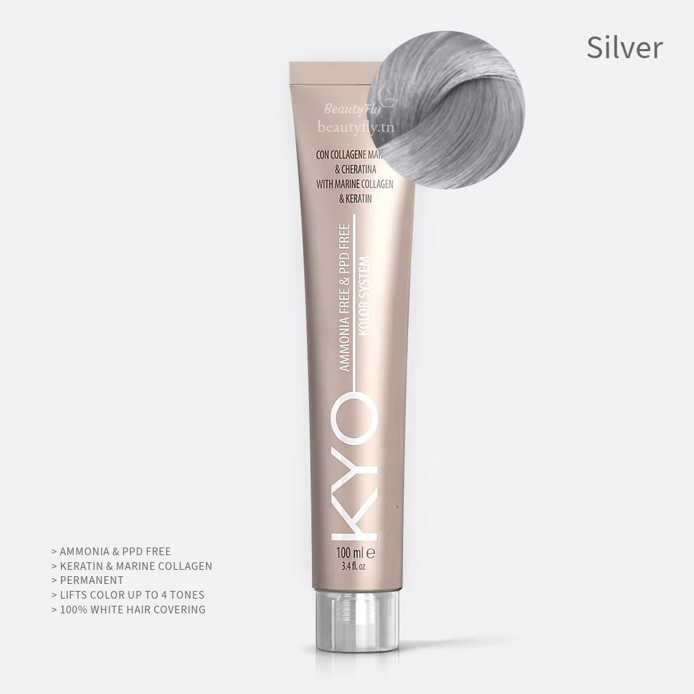 KYO 100ml - Correctors Silver