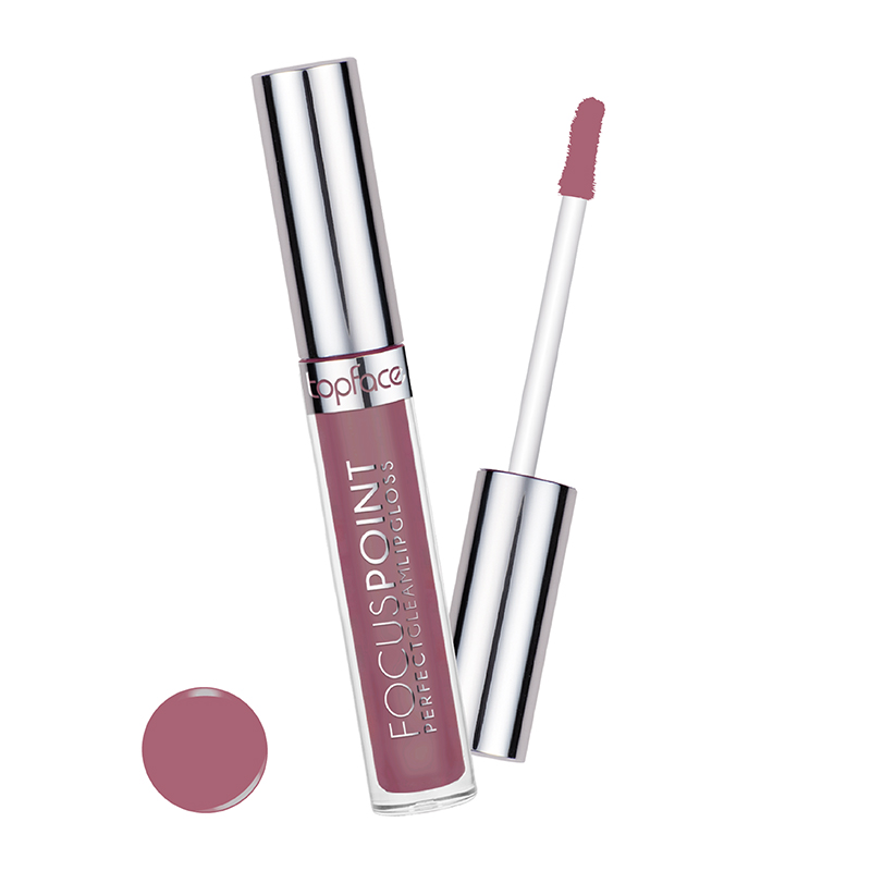Focus Point Perfect Gleam Lipgloss - Topface 113 (#a96476)