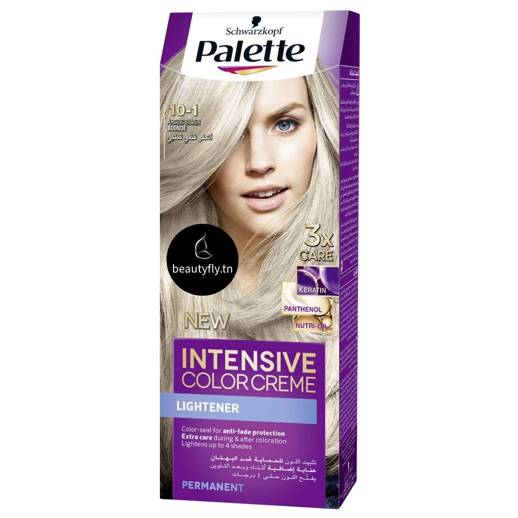 Palette Intensive Color Crème – Coloration Longue Durée 10-1 Frosty Silver Blonde