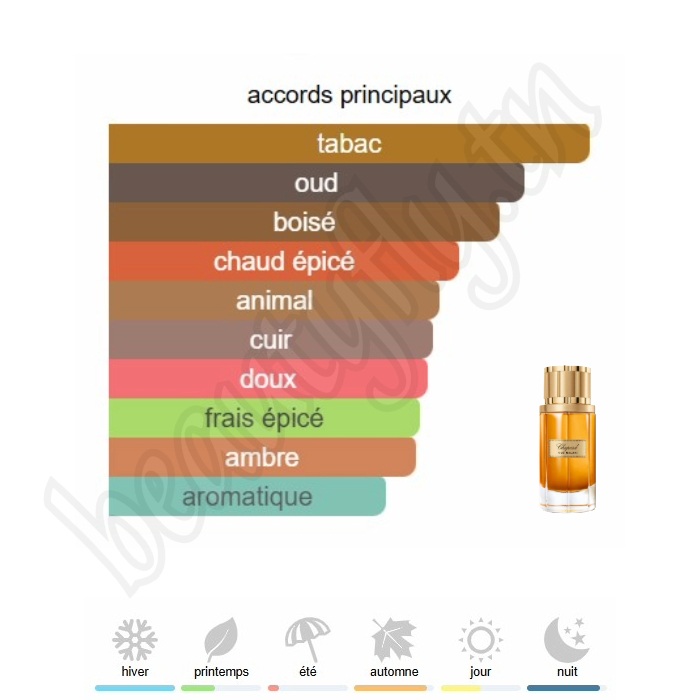 Oud Malaki – Extrait de Parfum
