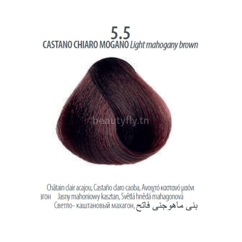 Maxima Professional Hair Color Plex - Acajou 5.5