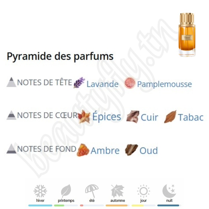 Oud Malaki – Extrait de Parfum
