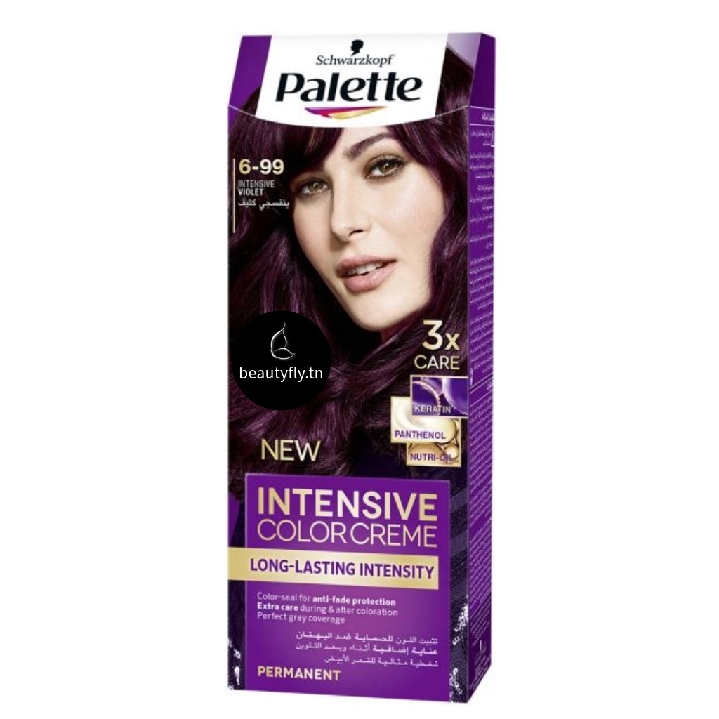 Palette Intensive Color Crème – Coloration Longue Durée 6-99 Intense Violet
