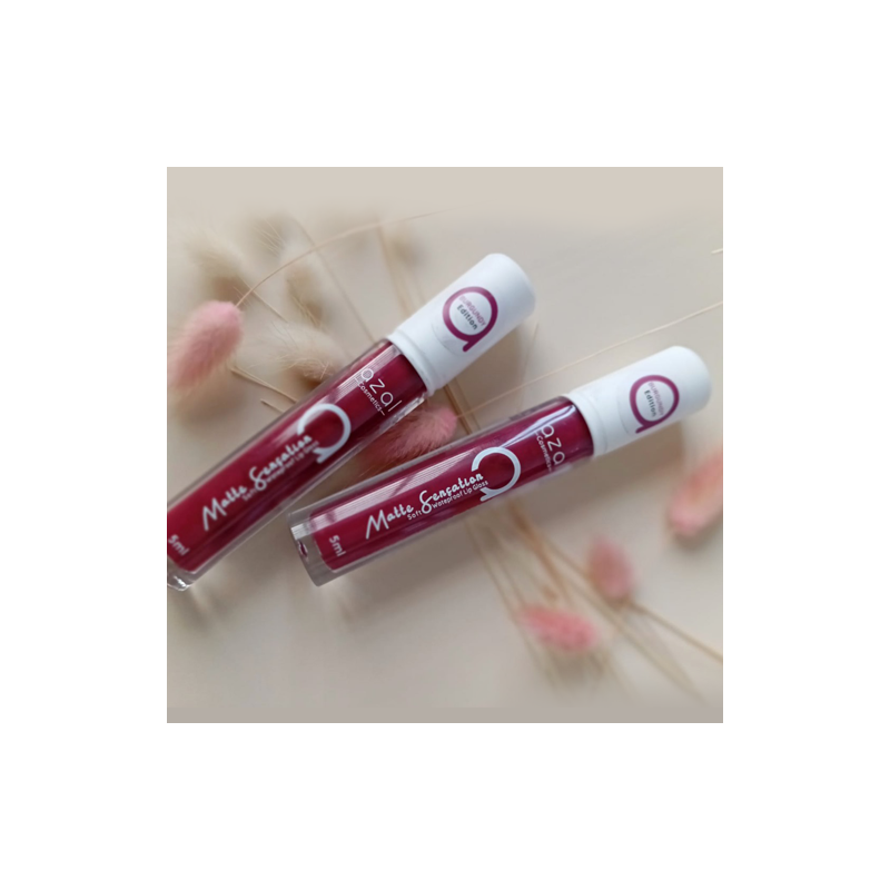 Gloss MATTE SENSATION – Couleur Intense, Fini Mat & Longue Tenue