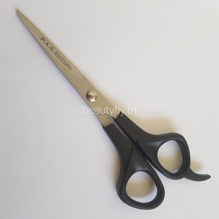 Ciseaux de Coiffure Professionnels PAS Solingen