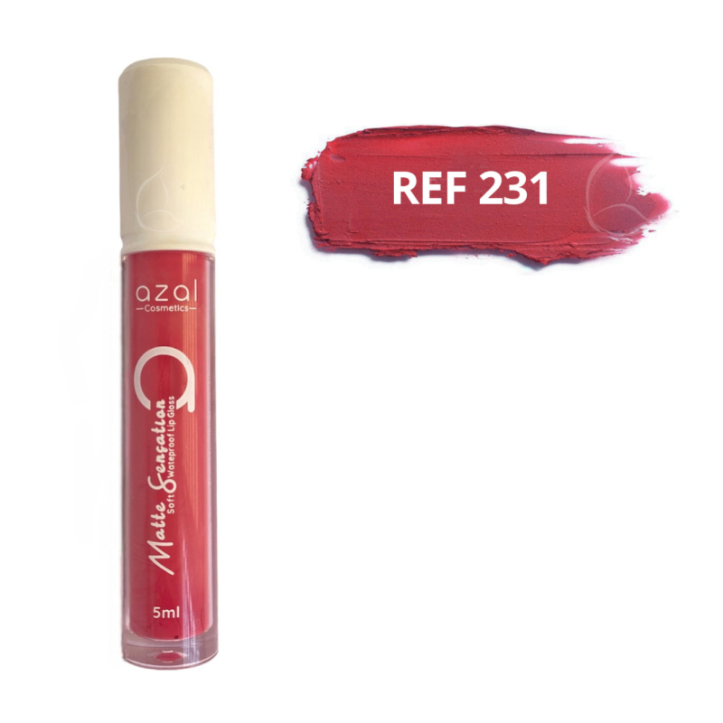Gloss MATTE SENSATION – Couleur Intense, Fini Mat & Longue Tenue REF 231