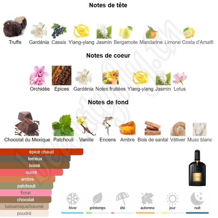 Black Orchid – Extrait de Parfum