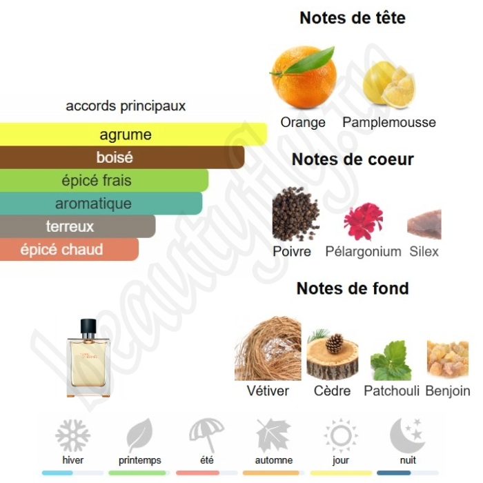 Terre d’Hermès - Extrait de Parfum Homme